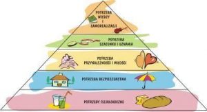 Potrzeba-i-motywacja-w-życiu-każdego-człowieka